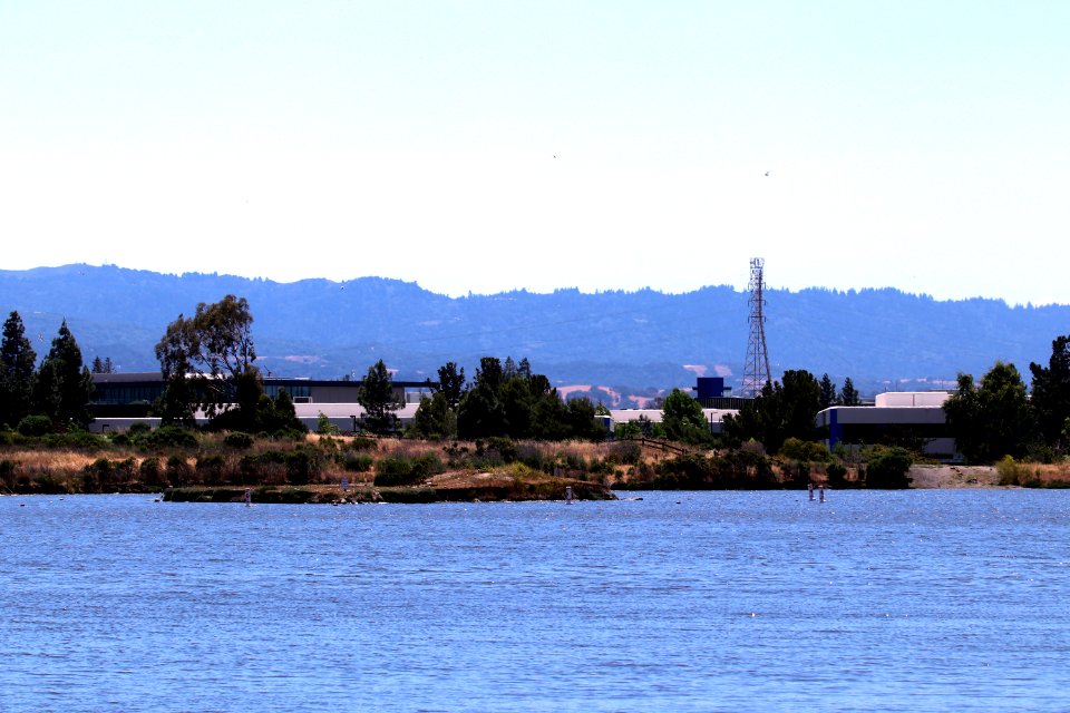 Shoreline Park Mountain View California IMG 2714