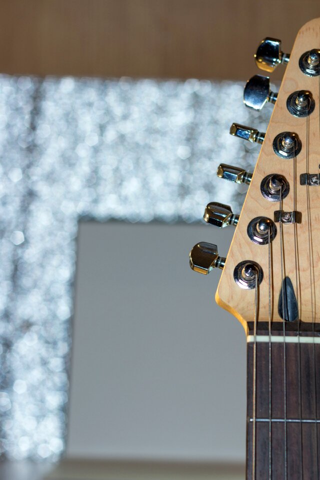 Frets musical instrument close