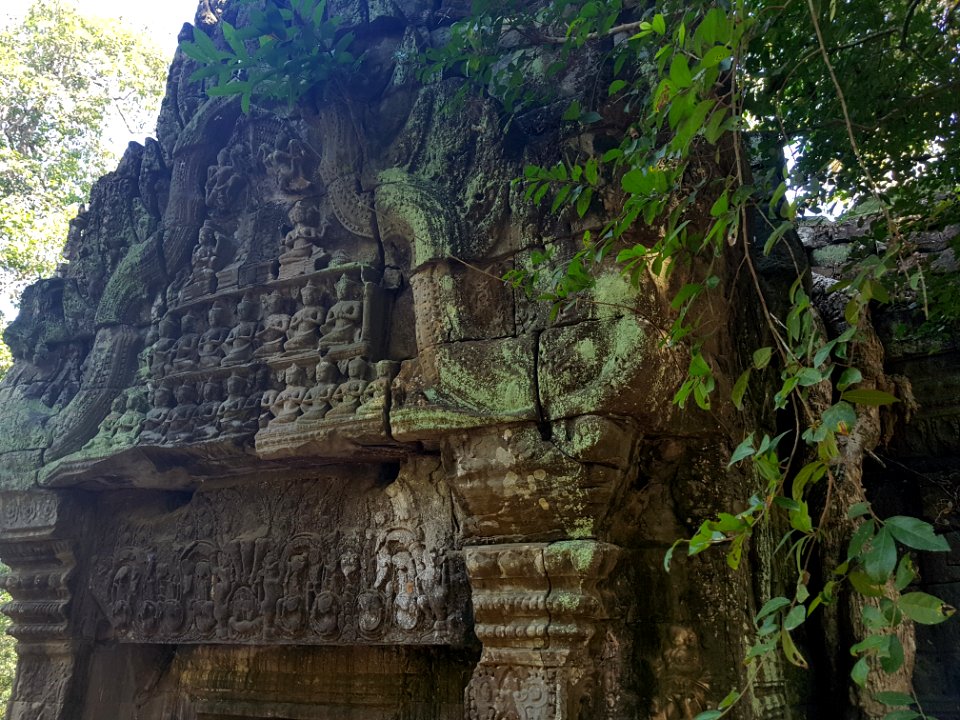 Ta Prohm, 2017-12-31 (014)
