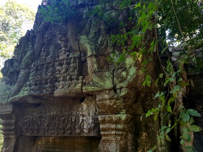 Ta Prohm, 2017-12-31 (014)