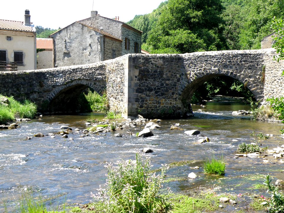 Saurier Pont médiéval12