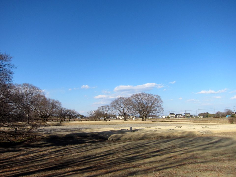 Shimotsuke-kokubunniji-ato garan