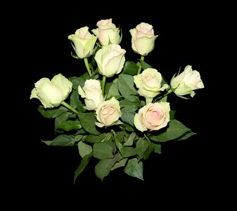 Beautiful bouquet white
