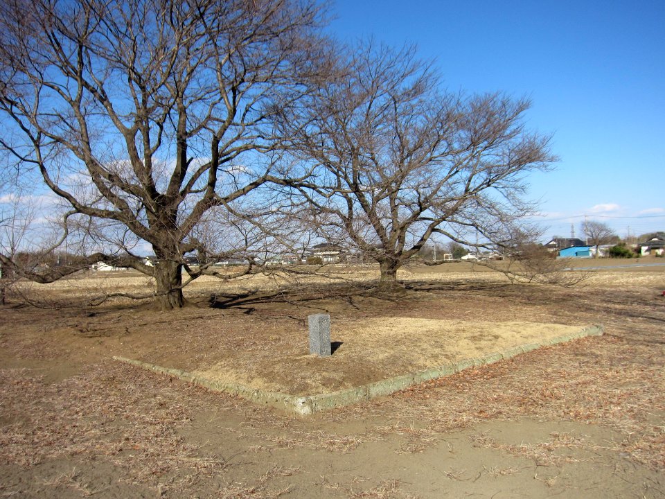 Shimotsuke-kokubunniji-ato shourou