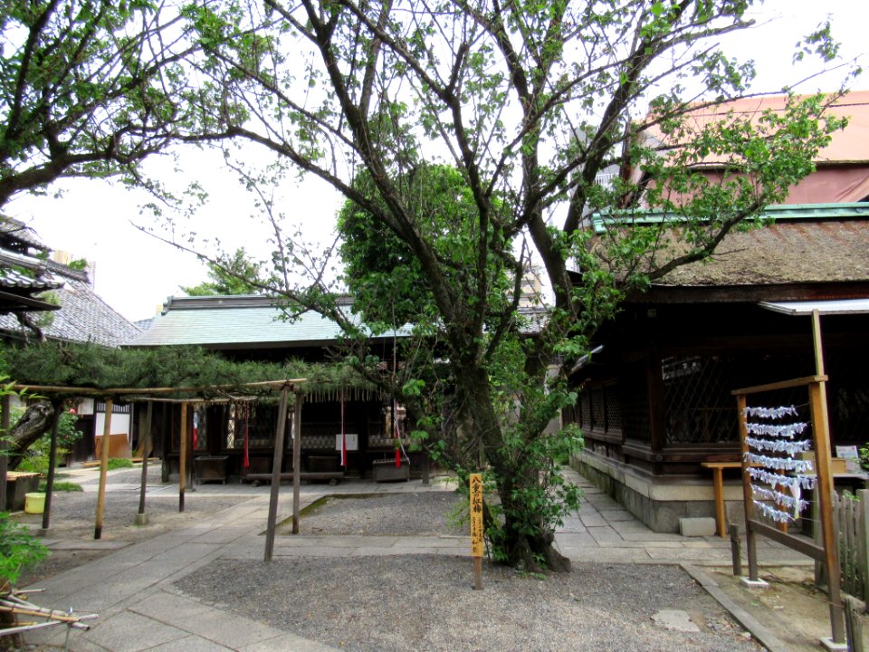 Shimogoryo jinja 009