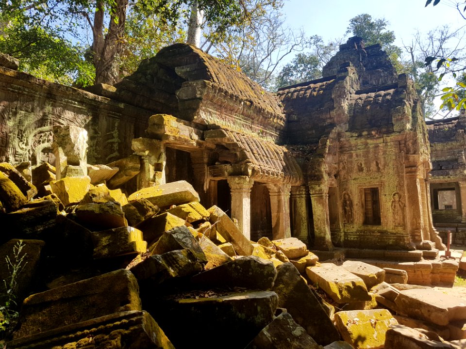 Ta Prohm, 2017-12-31 (048)