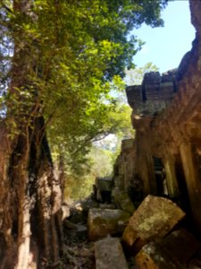 Ta Prohm, 2017-12-31 (040)