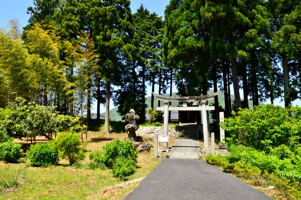 Shirahige-jinja Kofun, zenkei-1