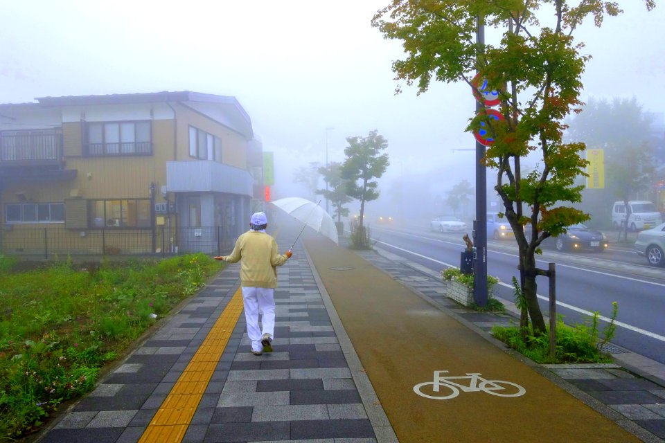 Sidewalk - Karuizawa, Japan - DSC02025