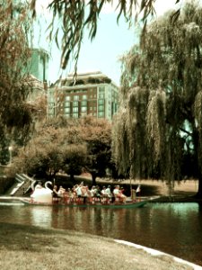 Swan boat, Boston Public Garden, 2012-06-28 2-color