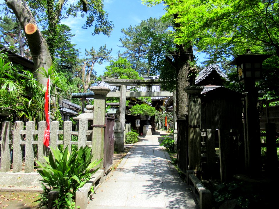 Shirakumo jinja 002