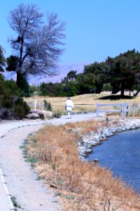Shoreline Park Mountain View California IMG 2708