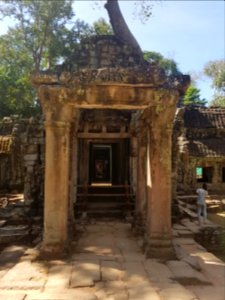 Ta Prohm, 2017-12-31 (016)