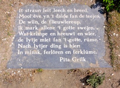 Taalroute Schiermonnikoog strand