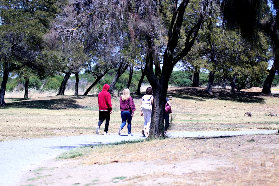 Shoreline Park Mountain View California IMG 2775