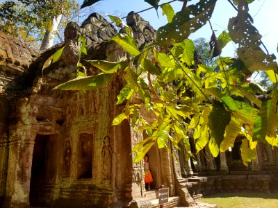 Ta Prohm, 2017-12-31 (057)