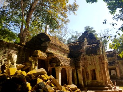 Ta Prohm, 2017-12-31 (050)