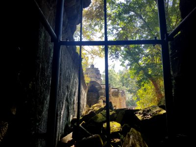 Ta Prohm, 2017-12-31 (045)