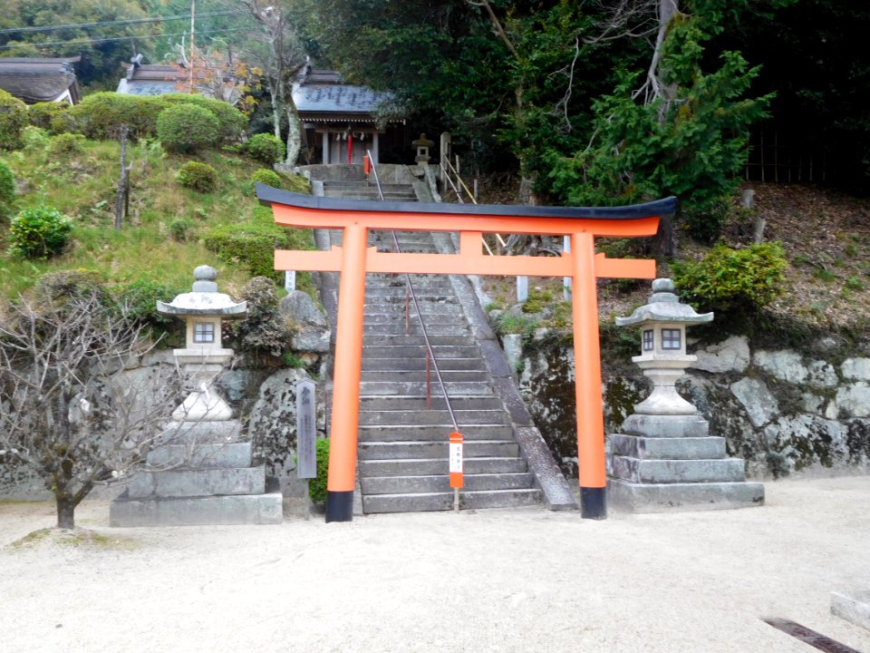 Shirahige-Jinja nov2016 18