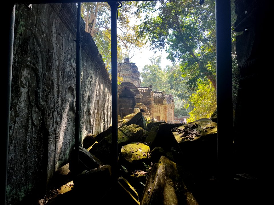 Ta Prohm, 2017-12-31 (043)