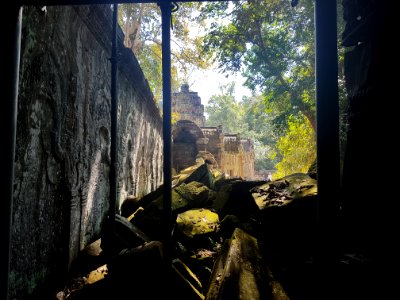 Ta Prohm, 2017-12-31 (043)