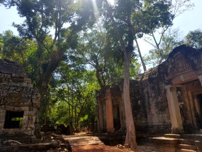 Ta Prohm, 2017-12-31 (026)