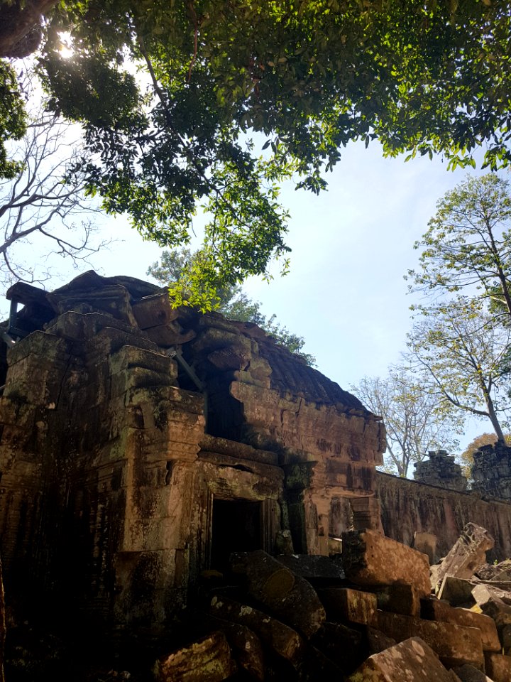 Ta Prohm, 2017-12-31 (037)