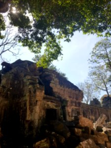 Ta Prohm, 2017-12-31 (037)