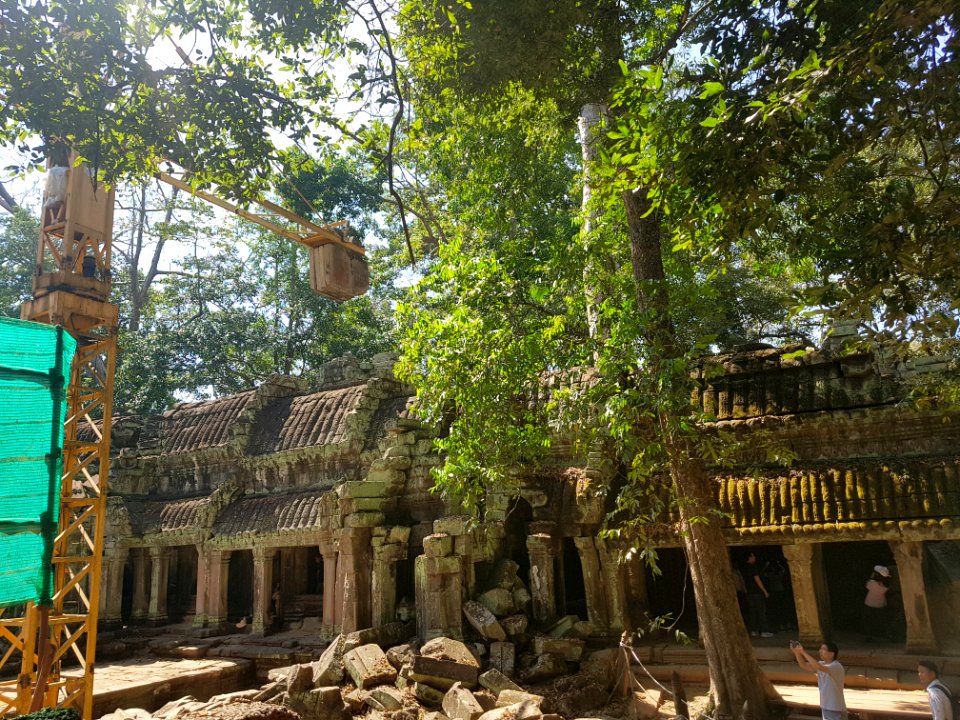 Ta Prohm, 2017-12-31 (027)