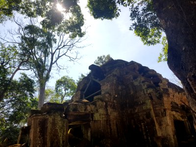 Ta Prohm, 2017-12-31 (034)