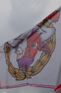 SV Grödig gegen RB Salzburg (Bundesliga) 27