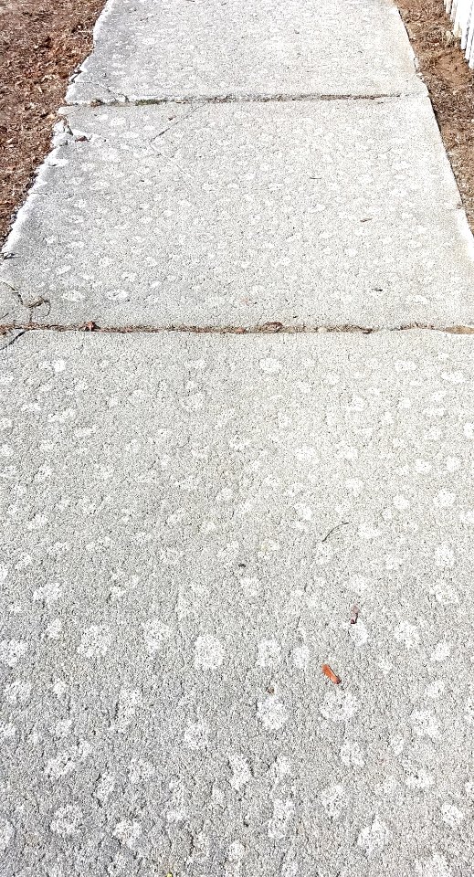 Sidewalk - Arlington, MA