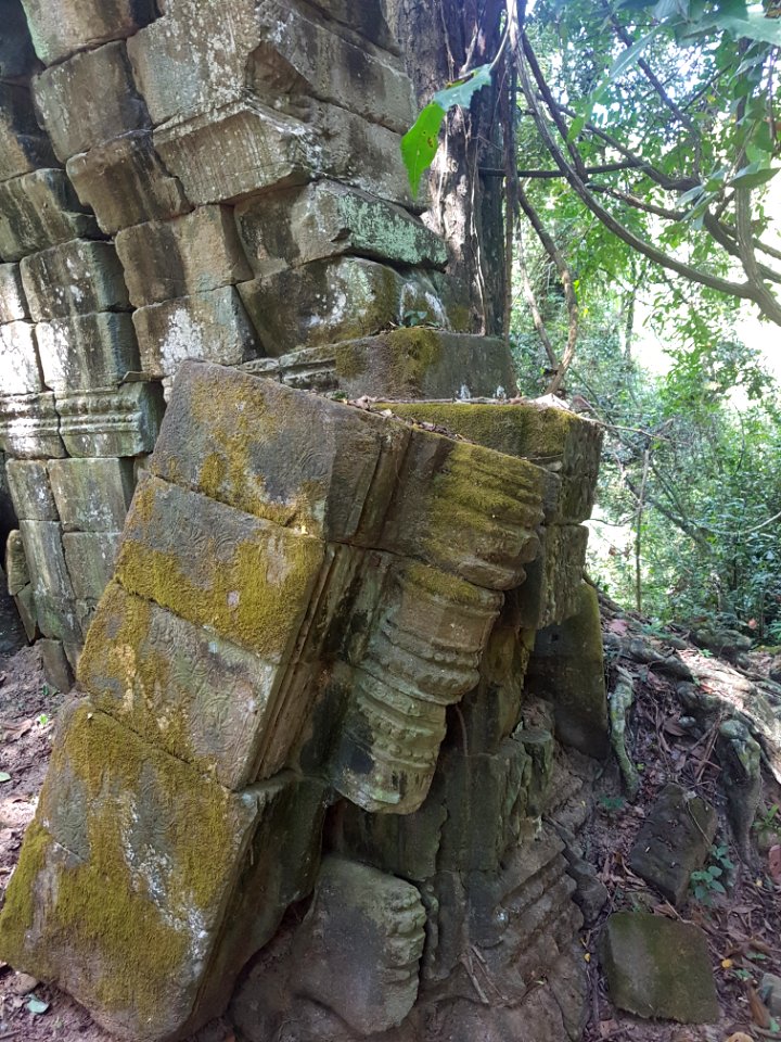 Ta Prohm, 2017-12-31 (010)