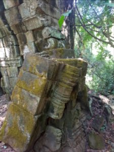 Ta Prohm, 2017-12-31 (010)