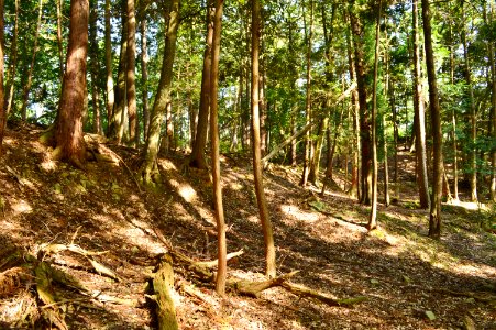 Shirageyama Kofun, funkyu
