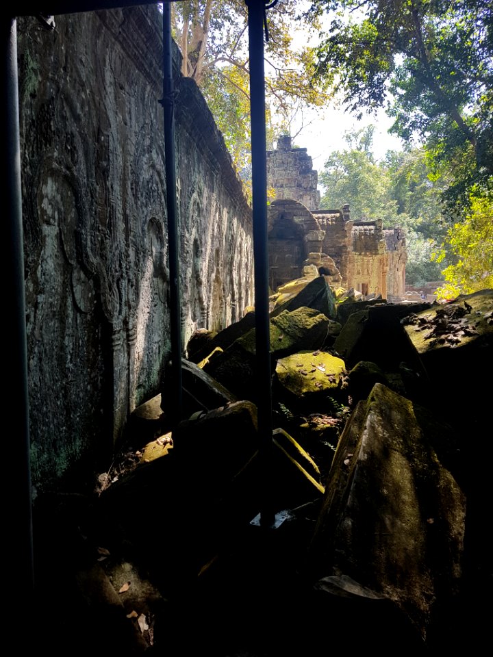 Ta Prohm, 2017-12-31 (042)