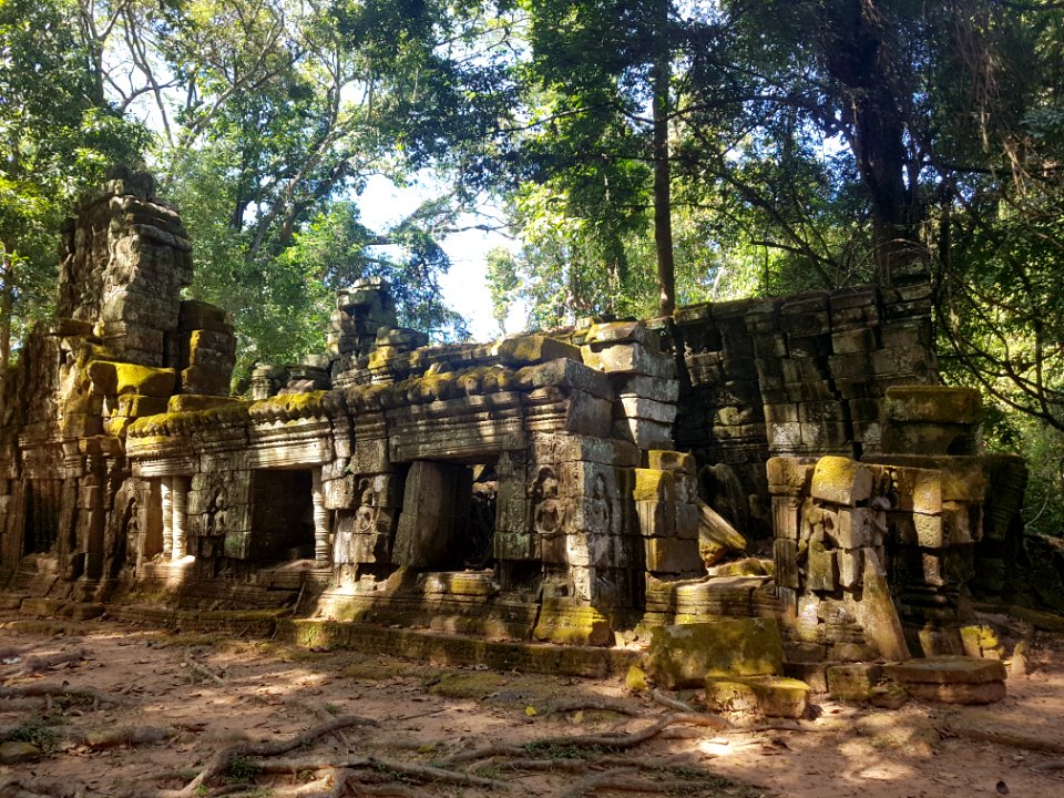 Ta Prohm, 2017-12-31 (005)