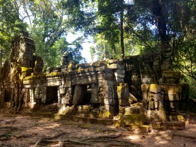 Ta Prohm, 2017-12-31 (005)