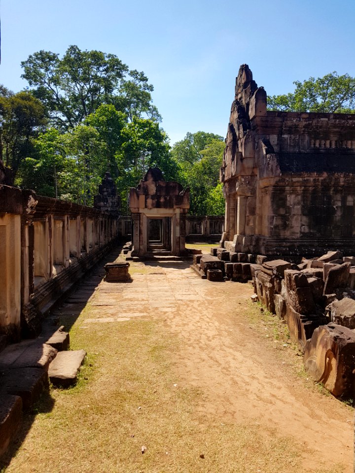 Ta Prohm, 2017-12-31 (002)