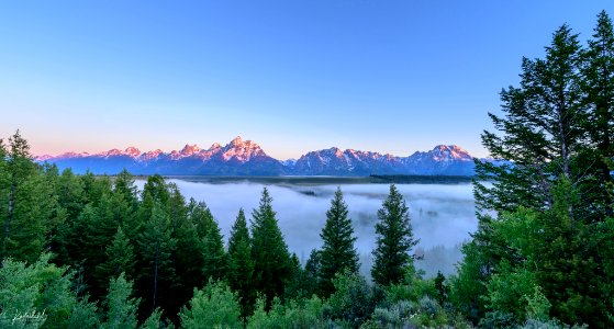 Teton Moran (264130989)