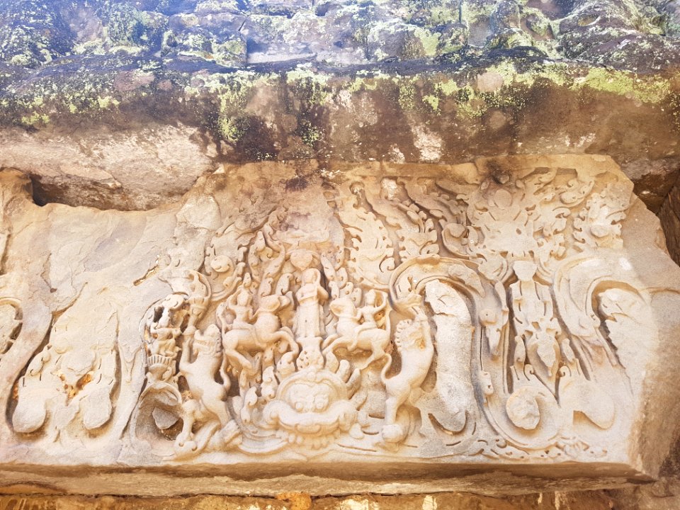 Ta Prohm, 2017-12-31 (018)