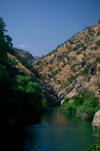 Swimming upstream from the Nahla Valley, a mixed Assyrian and Kurdish area in the Kurdistan Region of Iraq 26