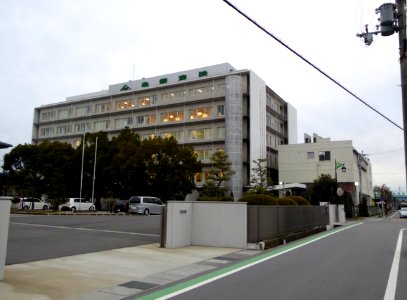 Toyosato Hospital