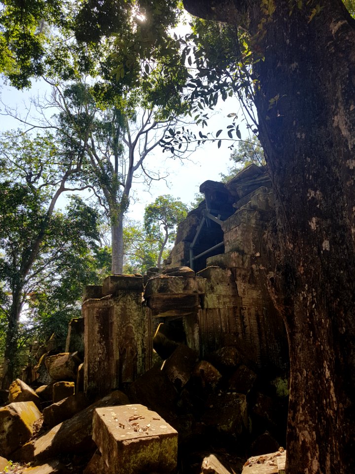 Ta Prohm, 2017-12-31 (036)