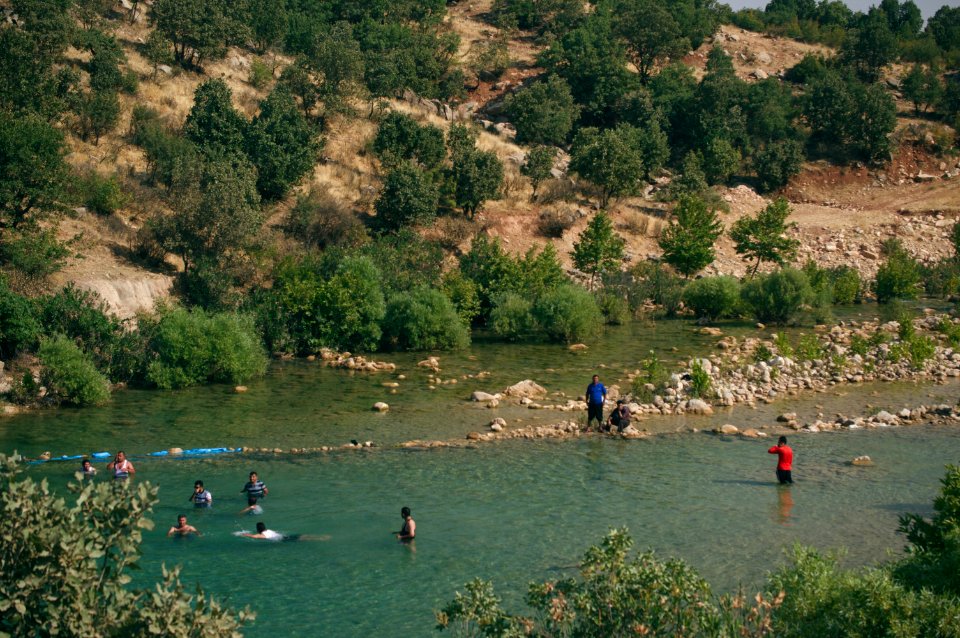 Swimming upstream from the Nahla Valley, a mixed Assyrian and Kurdish area in the Kurdistan Region of Iraq 28