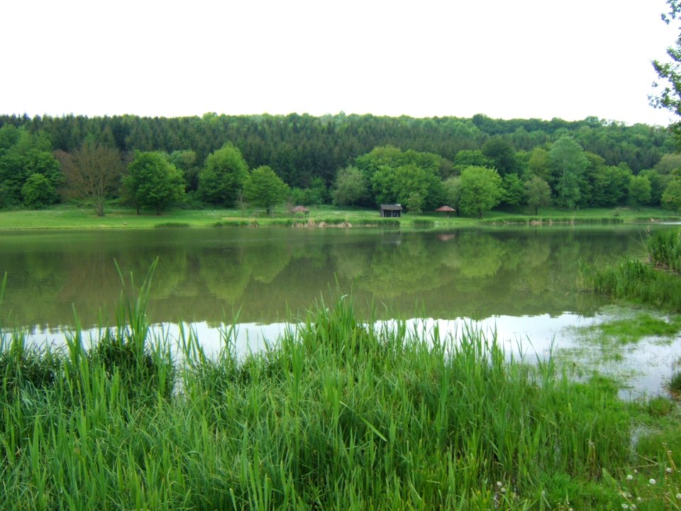 Szenyér, aradpusztai tó