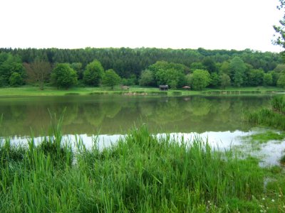Szenyér, aradpusztai tó