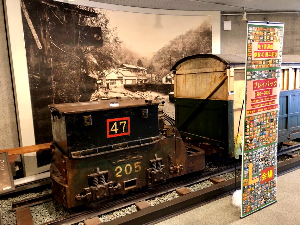 Toyohashi-Museum-of-Natural-Resources-3