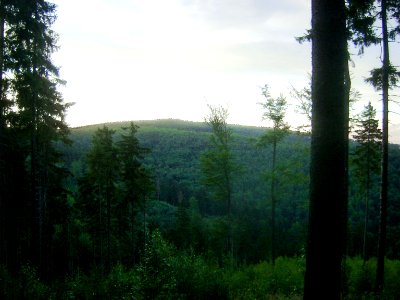 Szeroka .mit