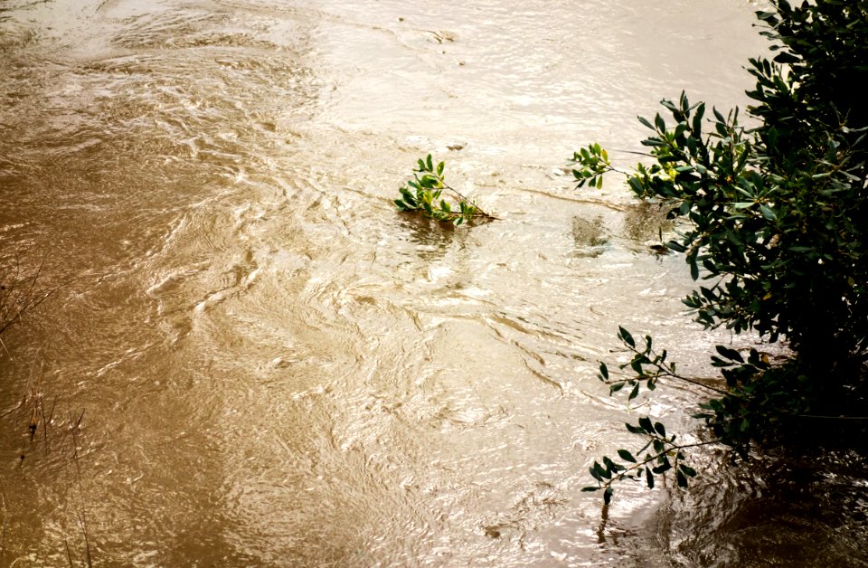 Swirls at high water in Broälven